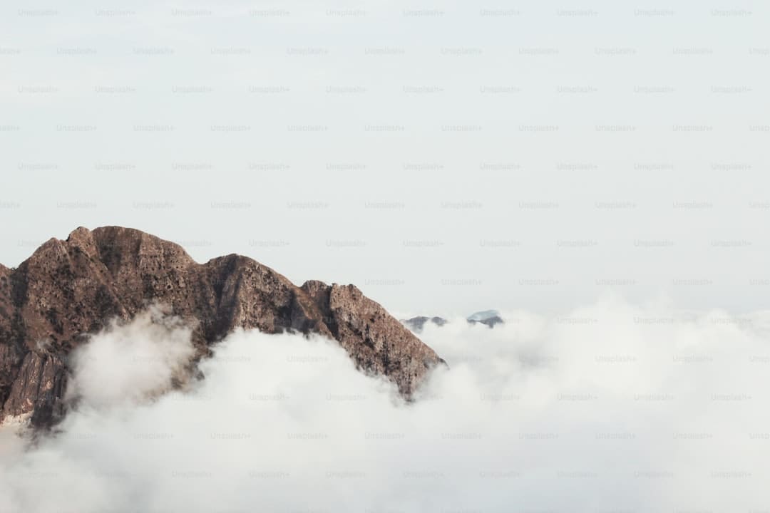 《我是歌手》闭幕，那英凭《像梦相同自在》荣膺歌王
